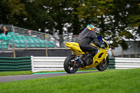 Lower Group Yellow Bikes